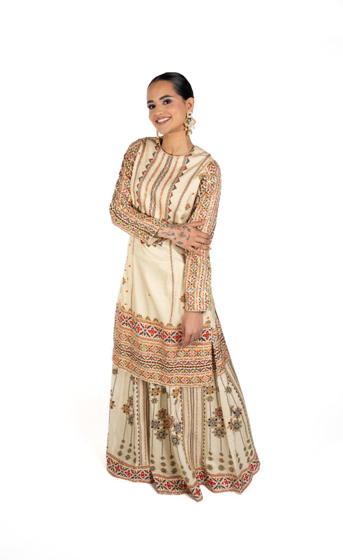 Noor Sharara with Phulkari Embroidery by Well Groomed